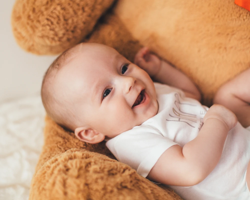 bassinet cradle swing